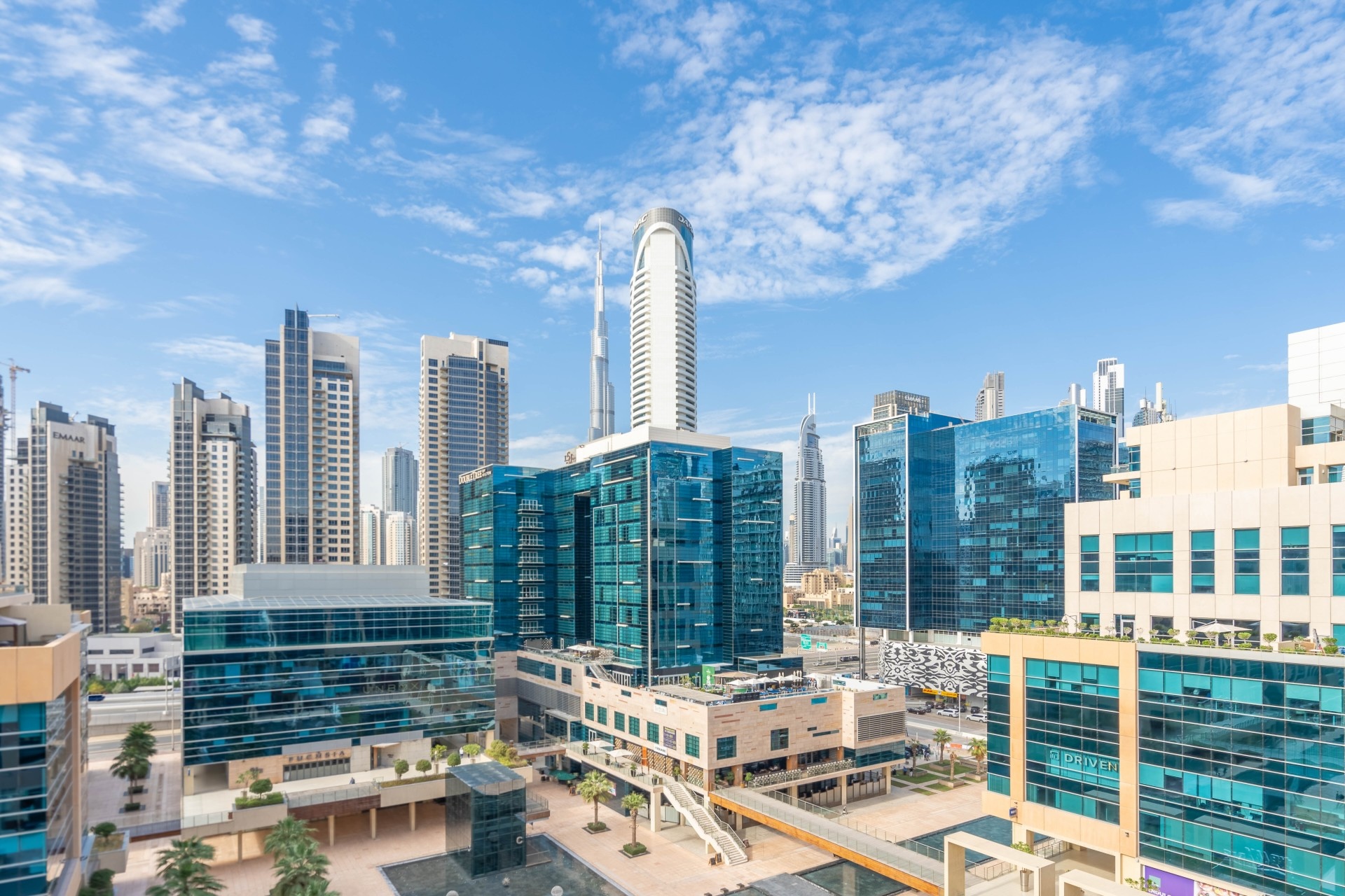 NeoVista team at work